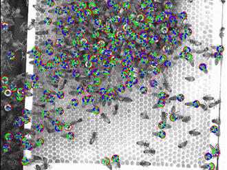Computational Simulation